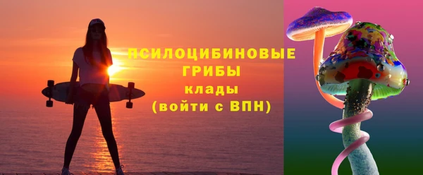 сатива Алзамай