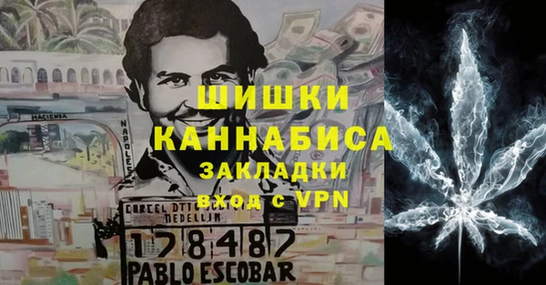 сатива Алзамай