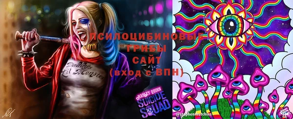 дживик Алексин