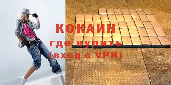 дживик Алексин