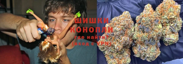сатива Алзамай
