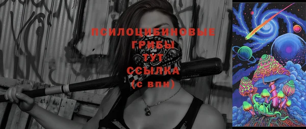 сатива Алзамай