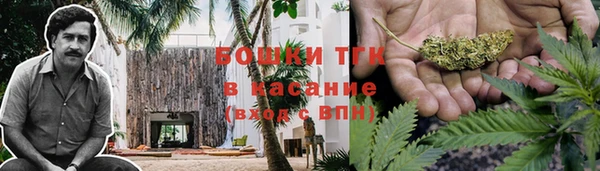 сатива Алзамай
