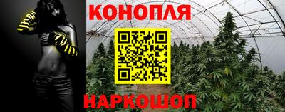 mix Бийск